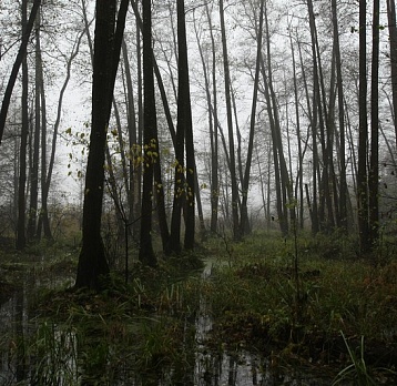 На службе у природы